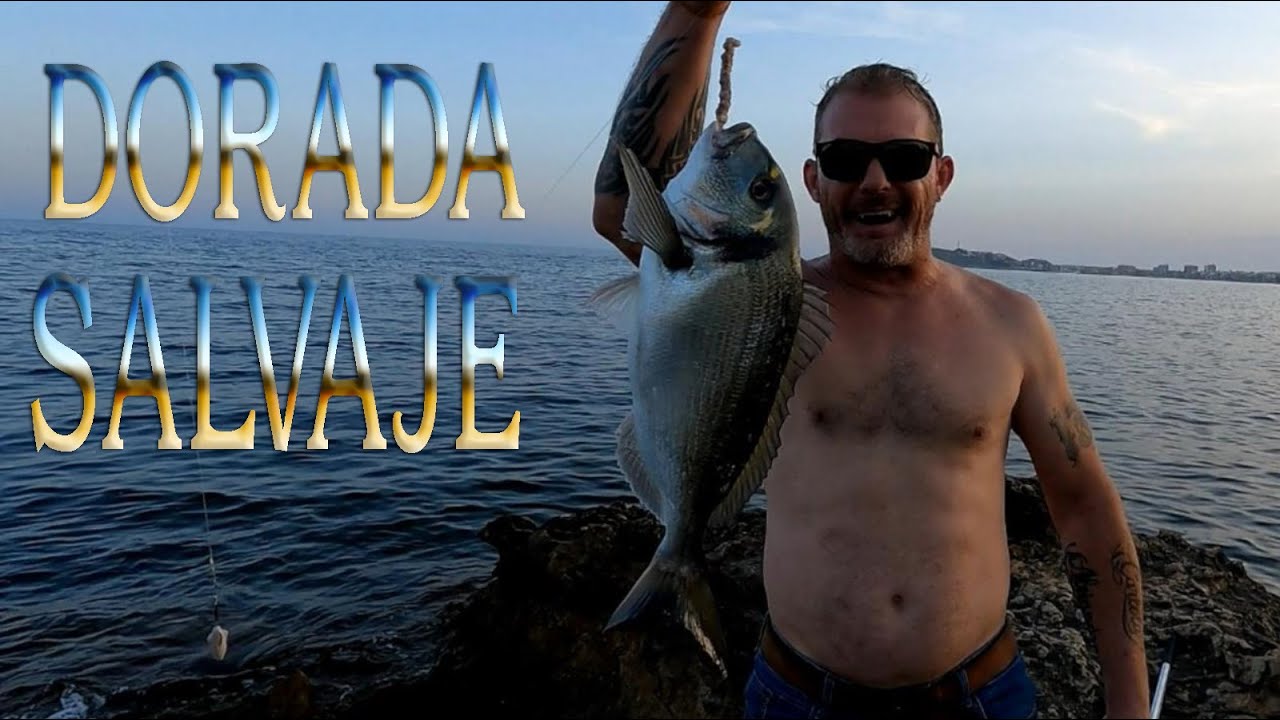 ME CARGO UNA BUENA DORADA SALVAJE ,HOOOLEEEE!!!!!