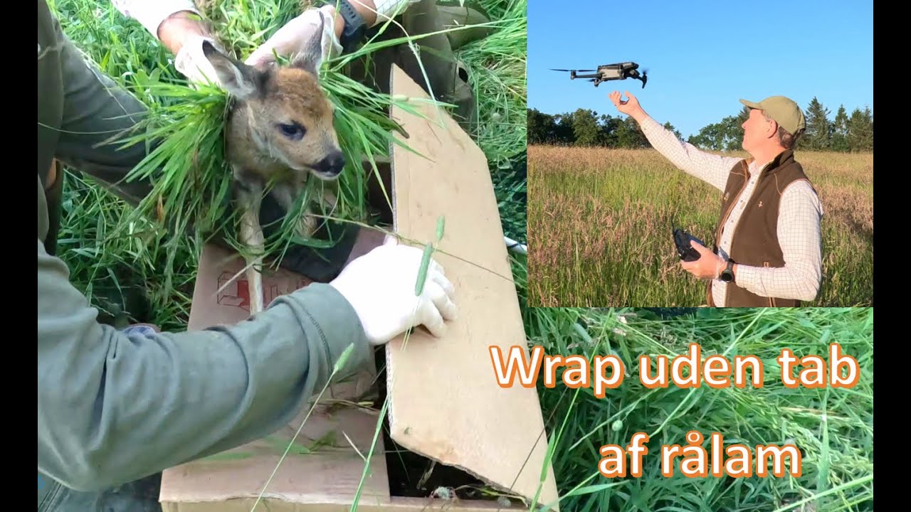 Wrap uden tab af rålam