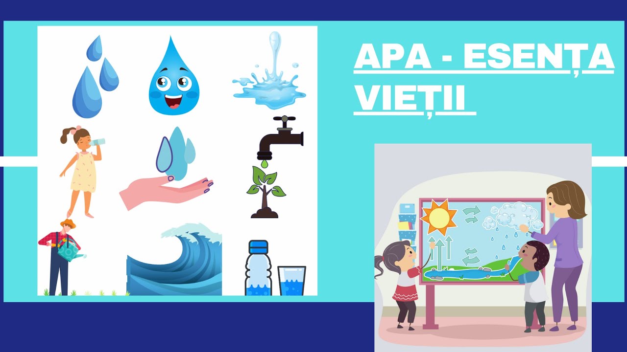 Importanța apei în viața noastră - Circuitul apei în natură
