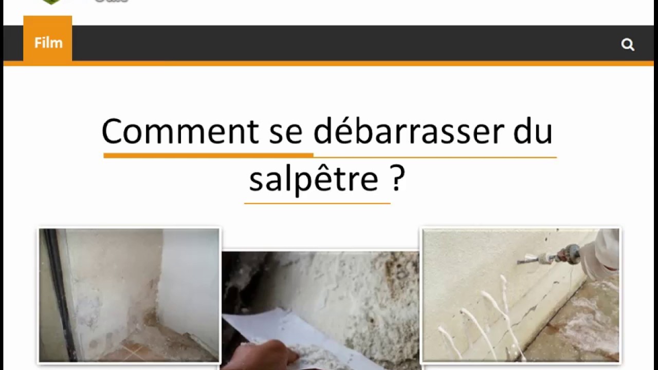 Comment se d&eacute;barrasser du salp&ecirc;tre