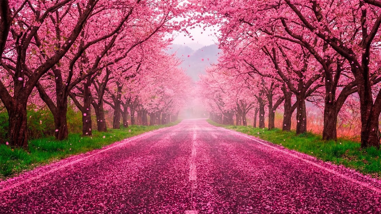 Gentle healing music for health and calming the nervous system, deep relaxation