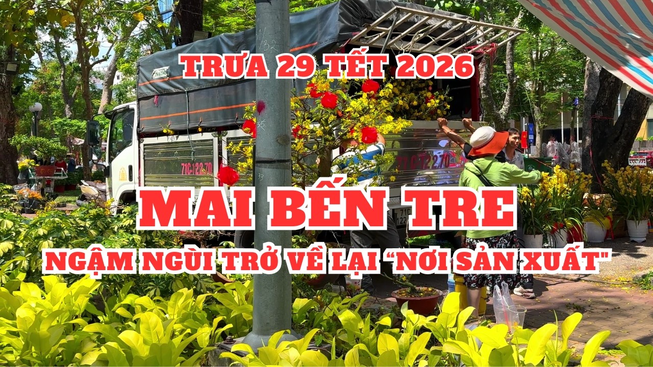 Trưa 29 Tết tại cv 23 tháng 9 ế nhiều quá bán tháo bán chạy
