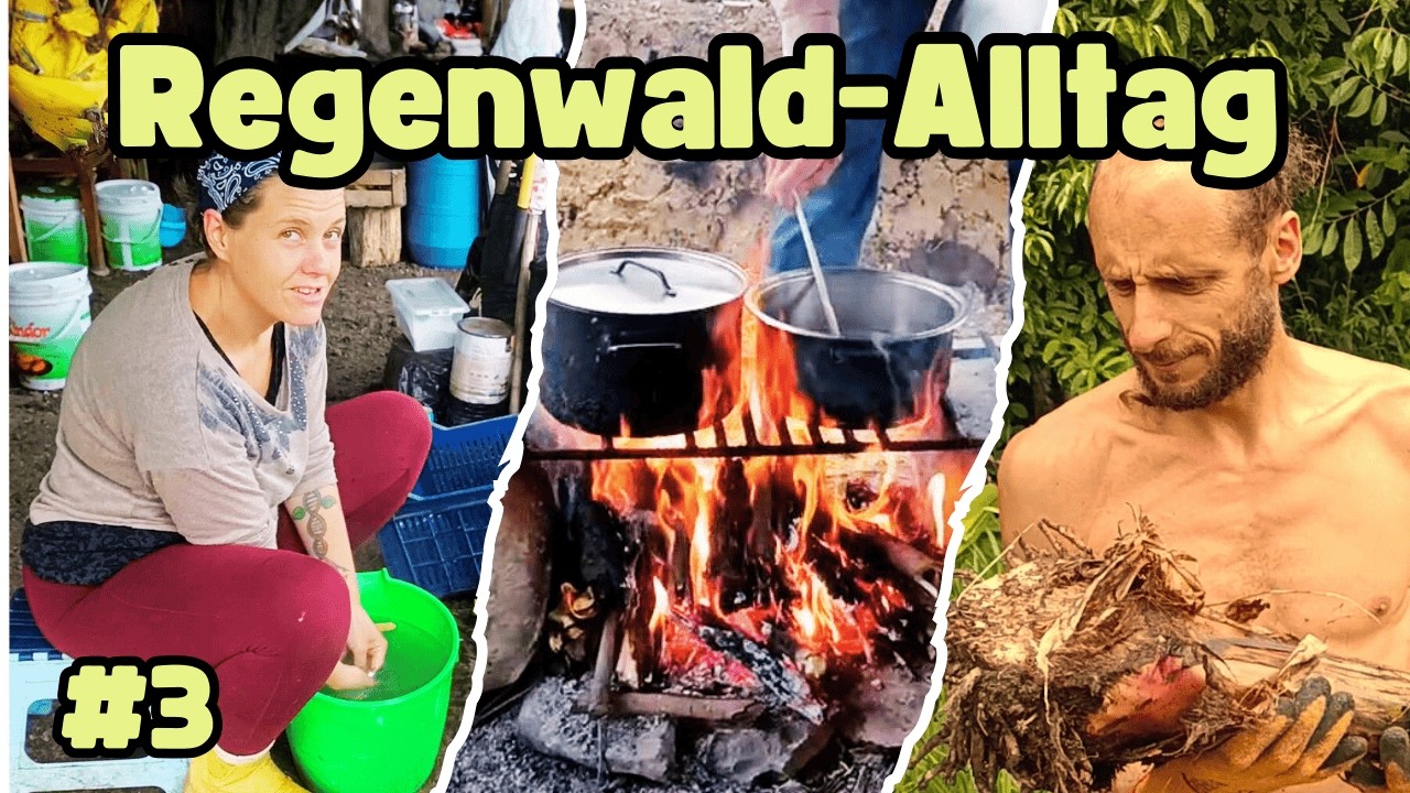 Leben im Regenwald – Feuer am Nachbargrundstück, Gartenarbeit & Alltag im Dschungel