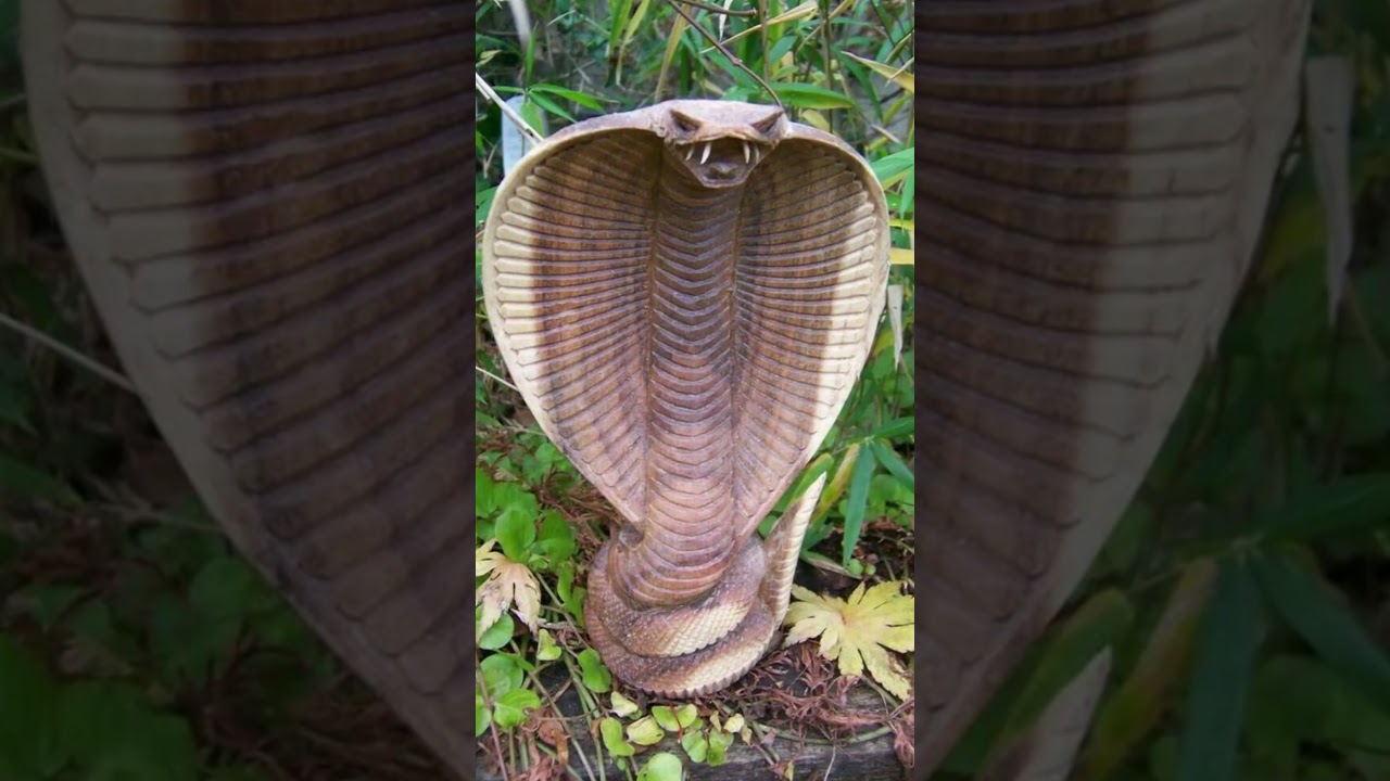 Test Na Fobie - Ofidiofobia😨