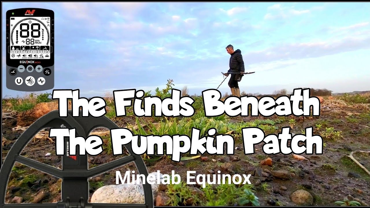 Metal Detecting uk | Field Hunting | Minelab Equinox 800
