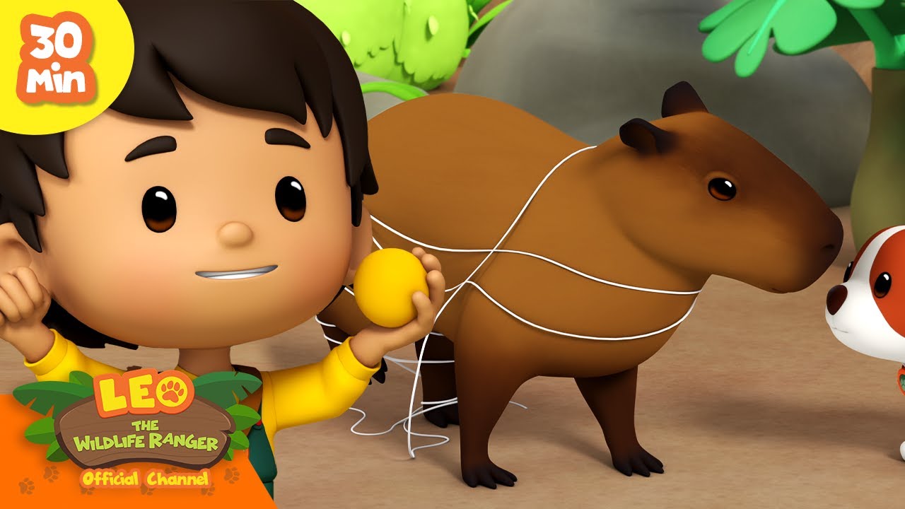 LETS SAVE THE CAPYBARA! 🛟 | Cutest Animals | Leo the Wildlife Ranger | Kids Cartoons