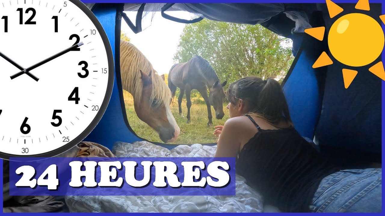 JE PASSE 24 HEURES AVES MES CHEVAUX ! - Ace ne fait que des bêtises ! 😤😤😤 1/2