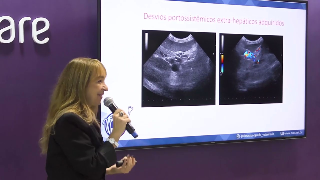 Aplicação de Doppler na Veterinária | GE HealthCare Brasil
