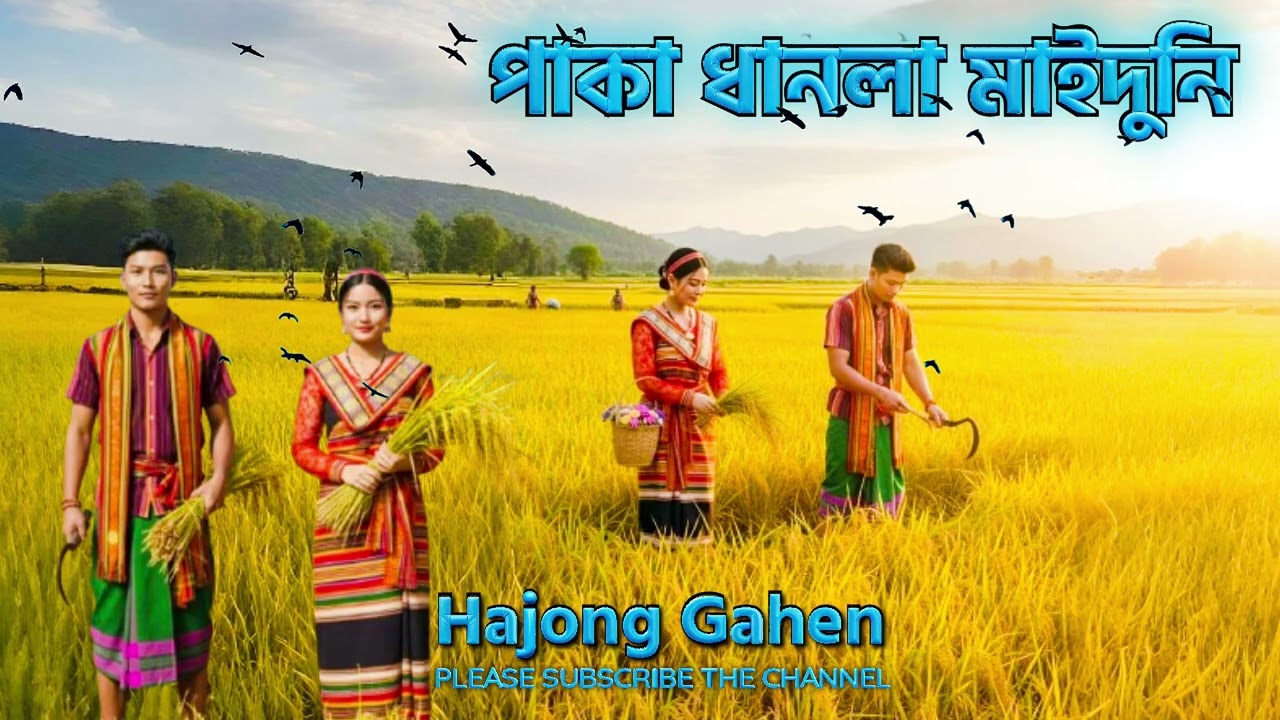 পাকা ধানলা মাইদুনি || PAKA DHANLA MAIDUNI || HAJONG GAHEN ||