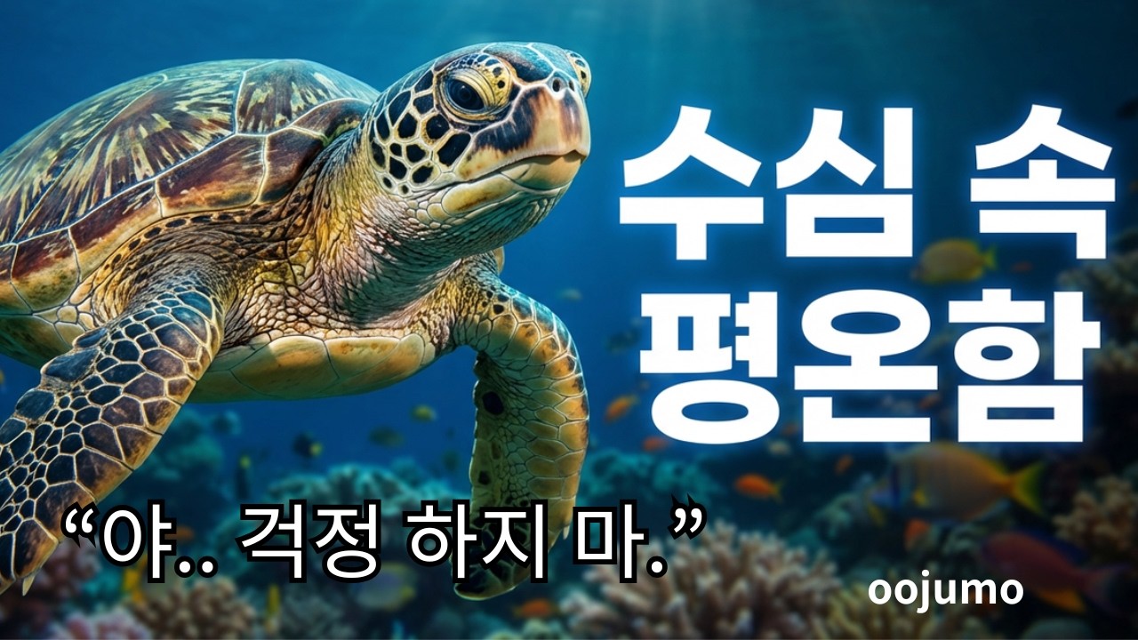 [가사없는 음악] 바다 이야기 🐢 산호초 ASMR | 공부·운전·휴식