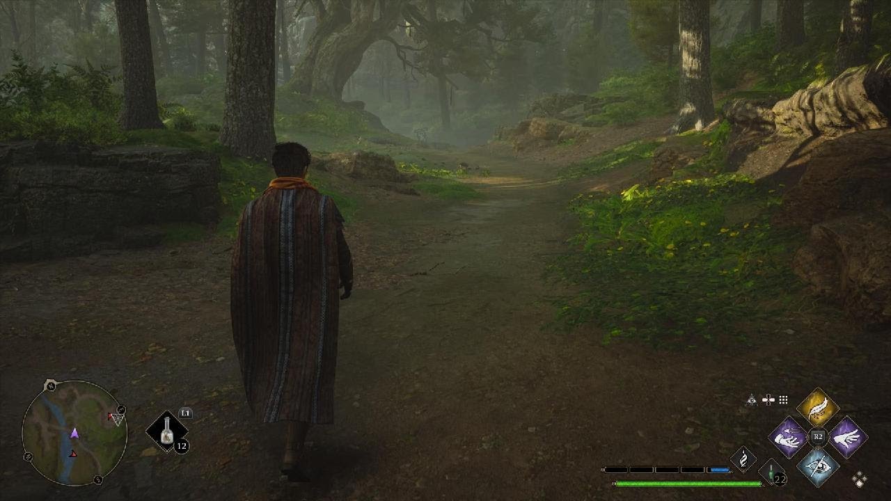 Encontro com centauros na Floresta Proibida