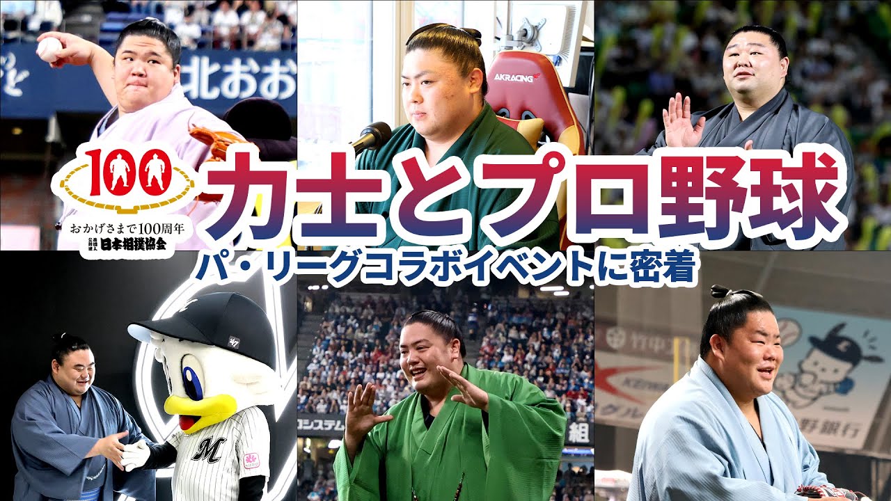 大相撲とプロ野球パ・リーグがコラボ！　イベントに密着！　SUMO