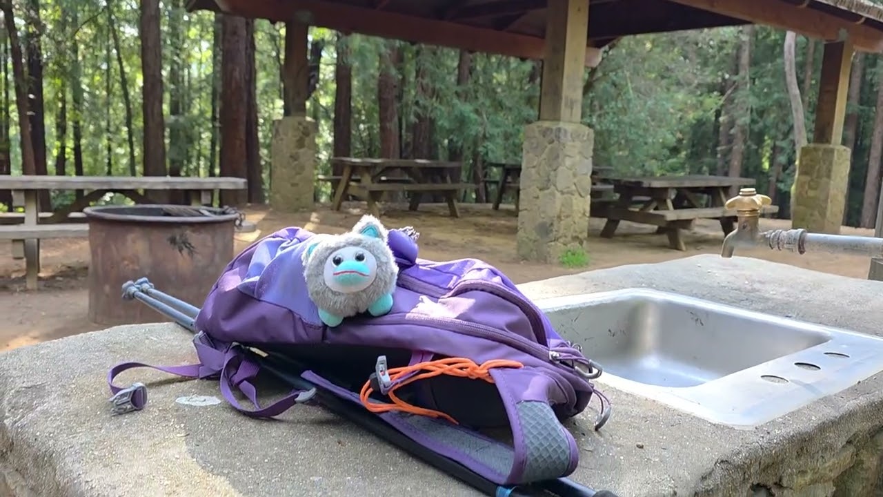 Muir Woods: #hiking #Millvalley #dipsea #bootjack #lostTrail #panoramic #suntrailLoop