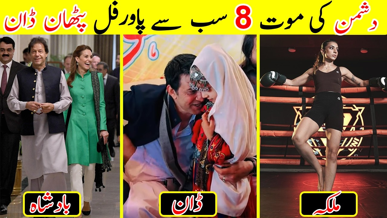 8 Most Powerful Pathans in the World |  سب سے طاقتور پٹھان | #talkshawk