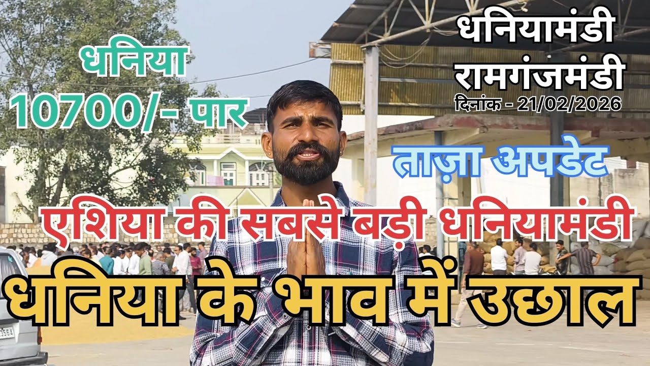 धनिया के भाव में जबरदस्त उछाल ।। एशिया की सबसे बड़ी धनियामंडी ।। रामगंजमंडी धनिया  भाव ।। Coriander
