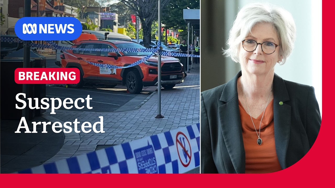 Police arrest 43yo suspect over 'attack' on MP Helen Haines | ABC NEWS