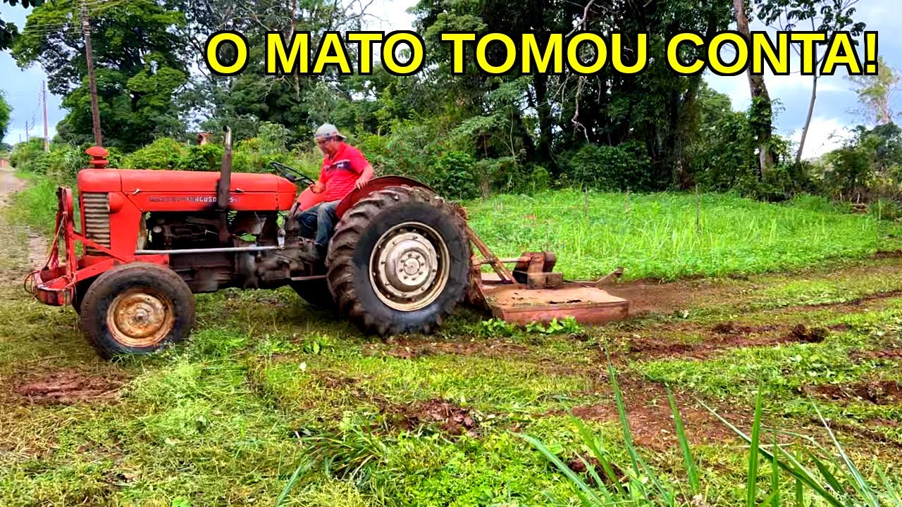 “O Mato Tomou Conta: Limpando o Terreno com Trator!”