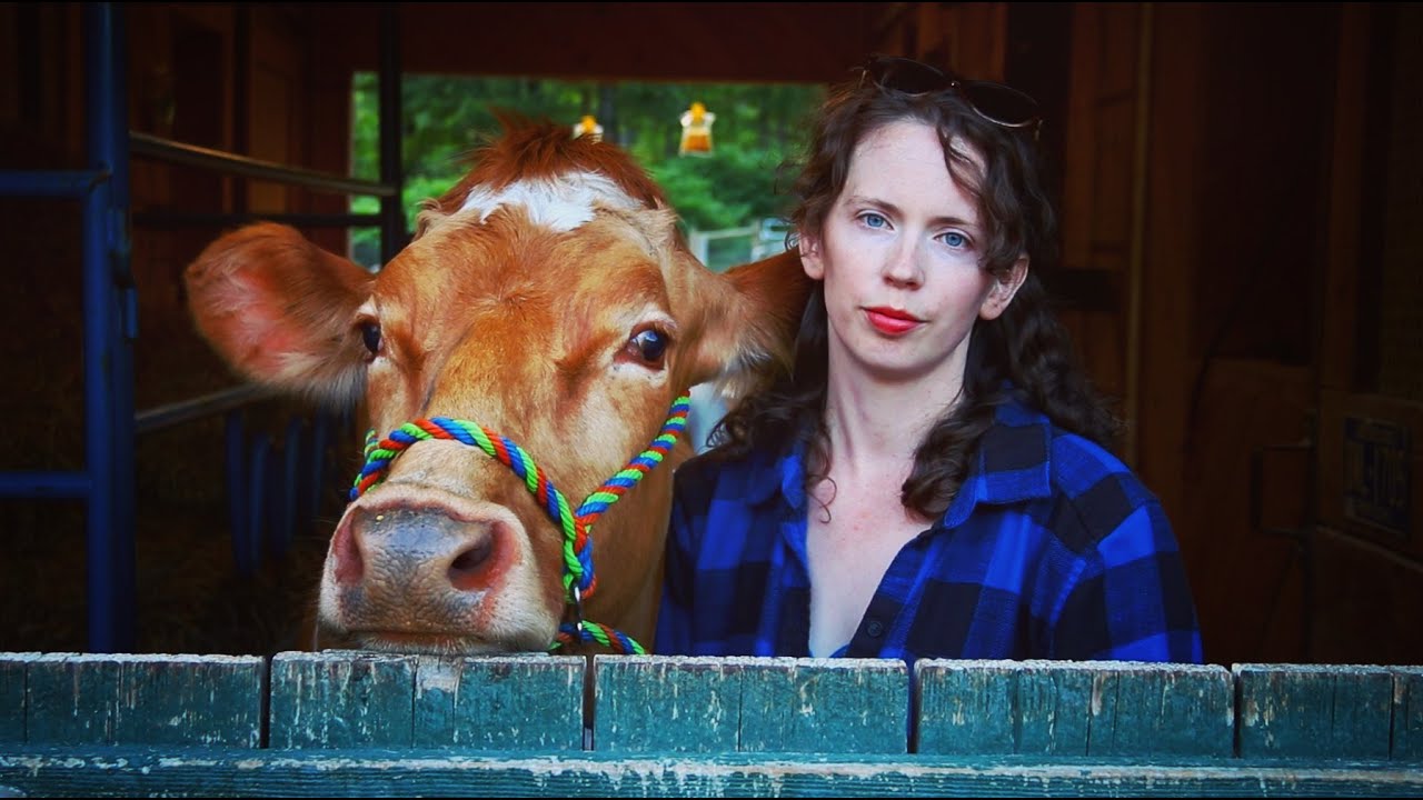 I Picked the WRONG COW - 3 Reasons WHY I KNOW...