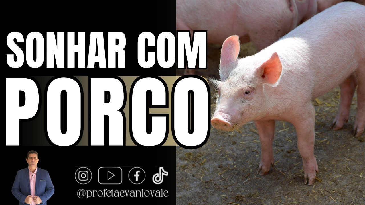 SONHAR COM PORCO @Profeta Evanio Vale #sonhos #porco