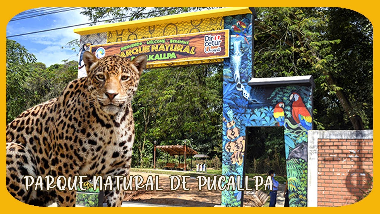 El Parque Natural de Pucallpa, Peru