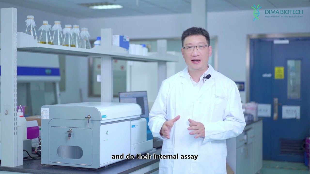 Discovering DIMA Biotech: Innovations in Biotechnology