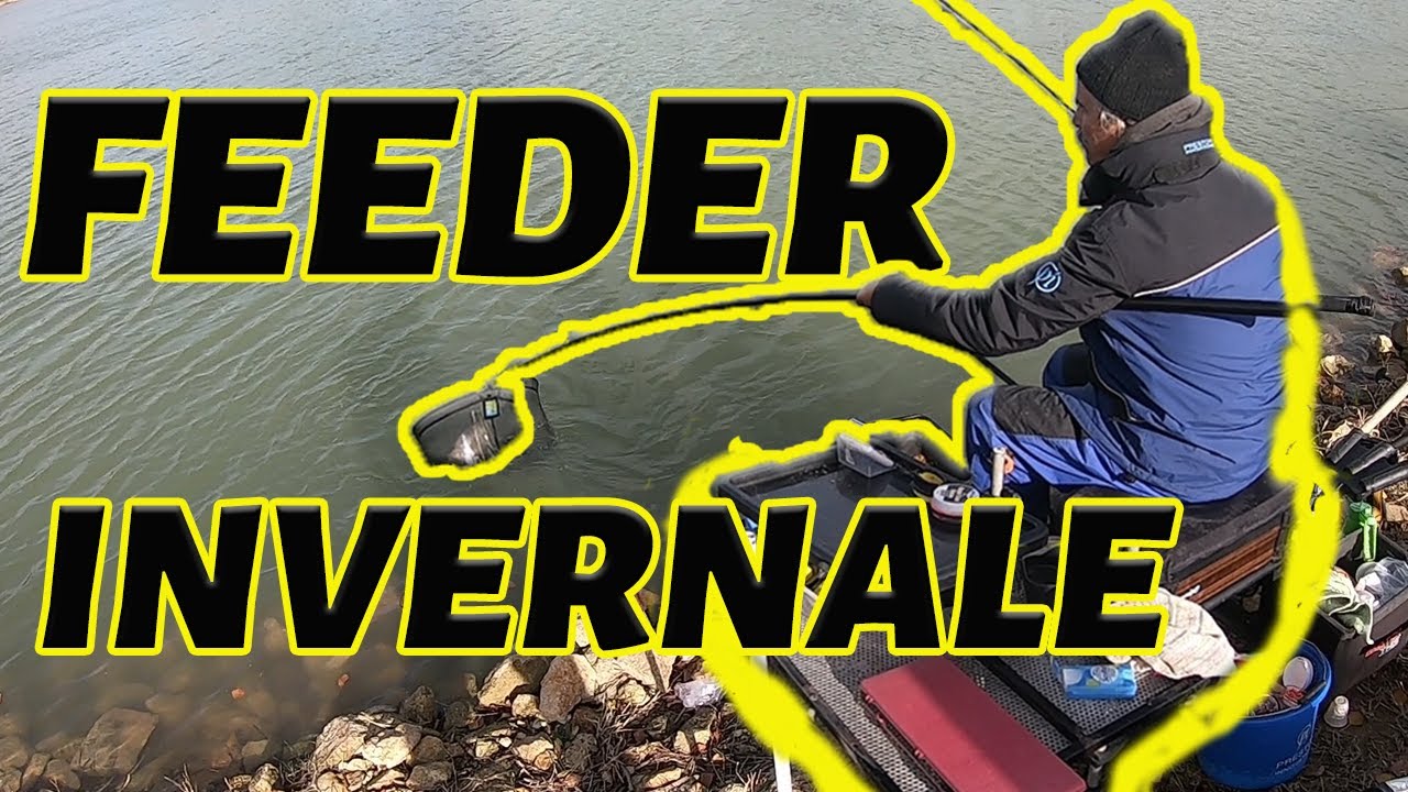 COME PESCARE LE CARPE IN INVERNO FEEDER FISHING INVERNALE