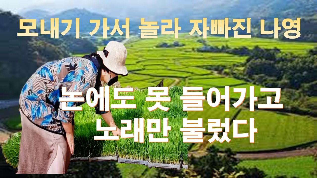 논에 못 들어가고 노래만 부른 이상한 모내기