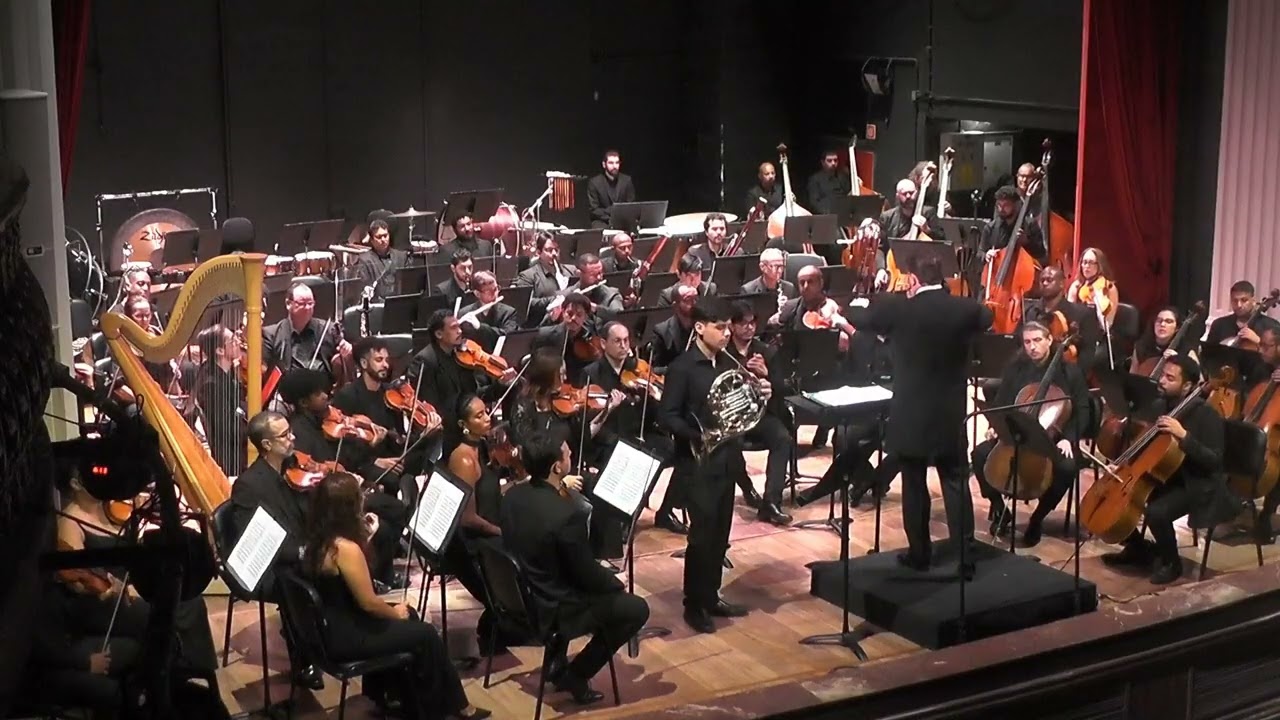 2  Strauss Concerto para Trompa Nº 1 Opus 11 Versão Completa