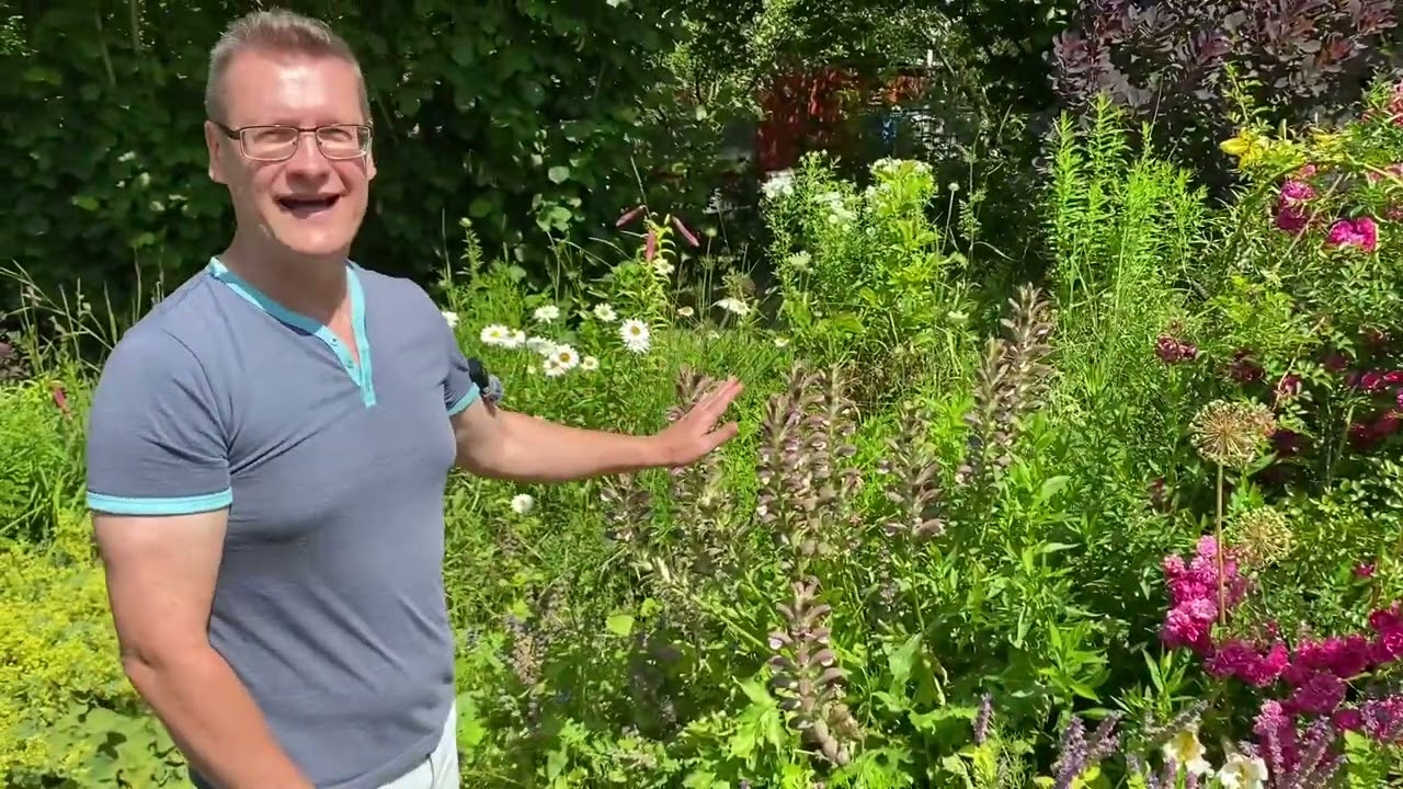 Deres kert: nyári látogatás
