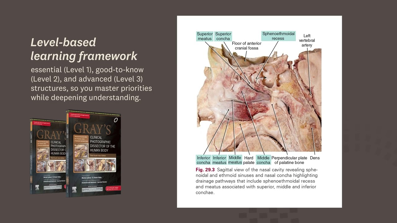 Gray’s Clinical Photographic Dissector of the Human Body, 3rd South Asia Edition