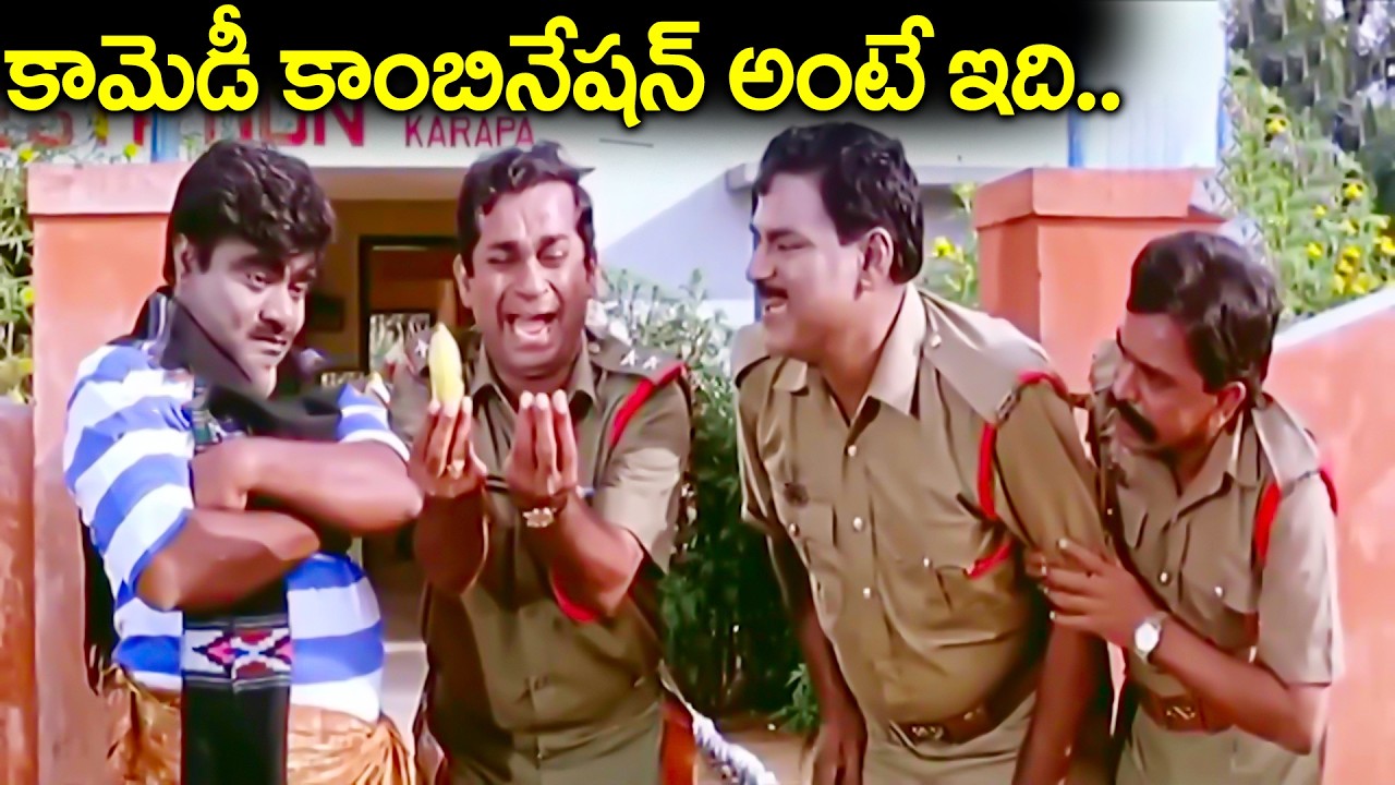 కామెడీ కాంబినేషన్ అంటే ఇది.. | Kota Srinivasa Rao & Babu Mohan, Brahmanandam Best Combination Comedy