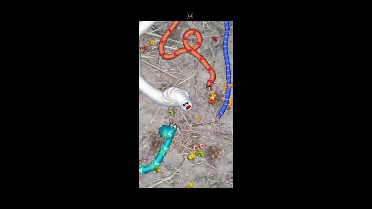 WORMSZONE.io Live Gameplay #live