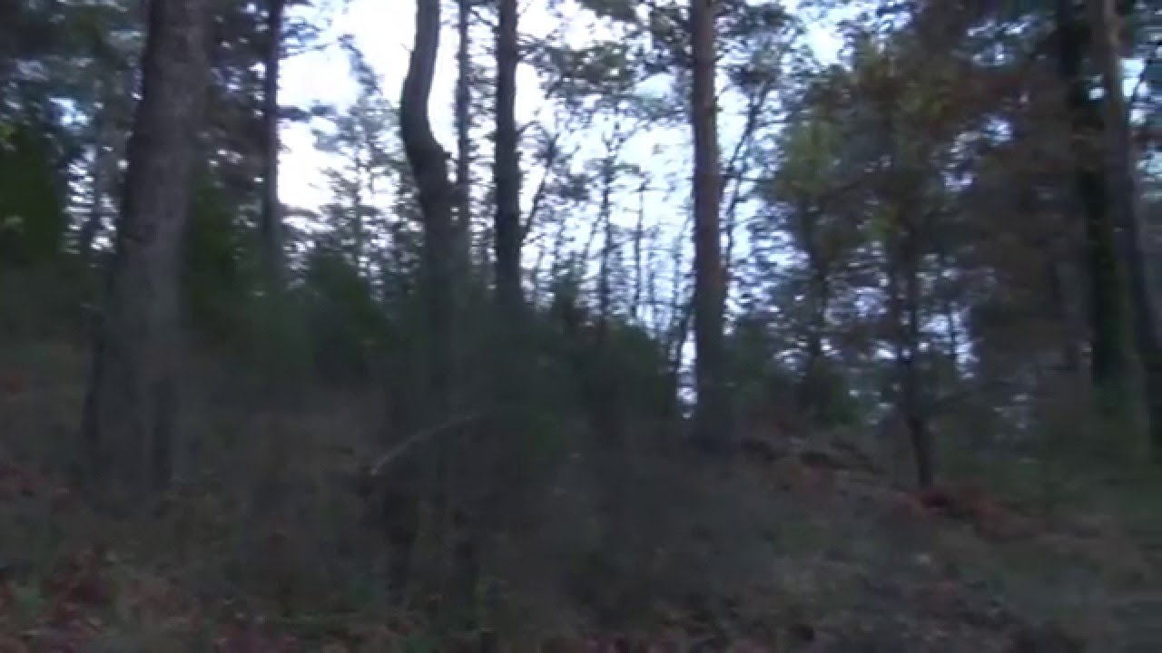 Sant Hilari Sacalm - Vídeo Postal