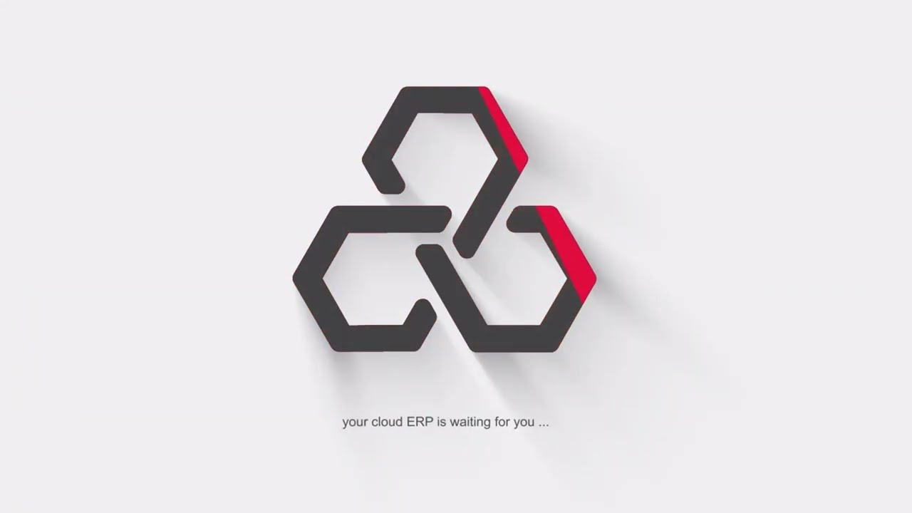 ALZERP | 21 شرح فئة المنتج