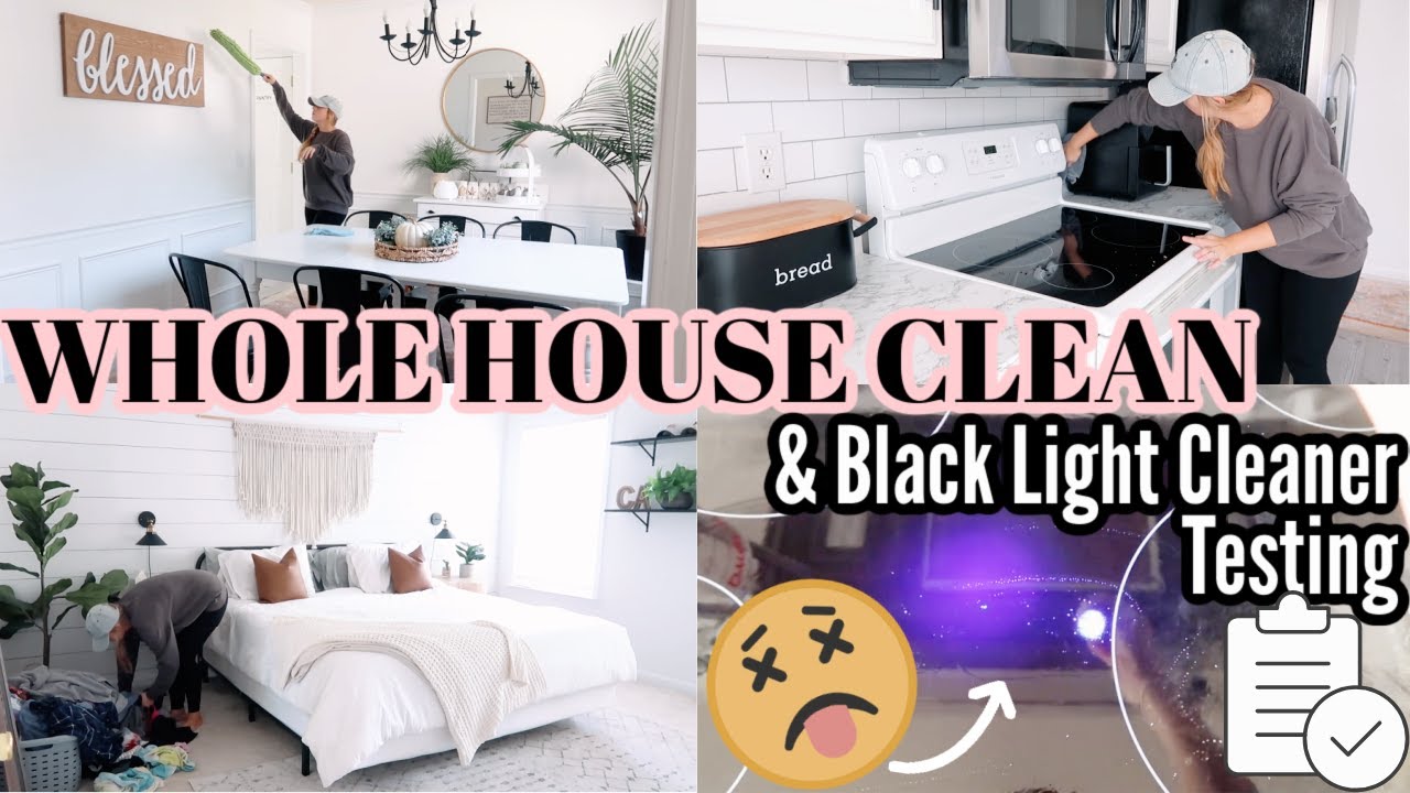WHOLE HOUSE CLEAN AND CLEANER TESTING 2020 | ENTIRE HOUSE CLEAN | SURFACE TESTING FOR BACTERIA