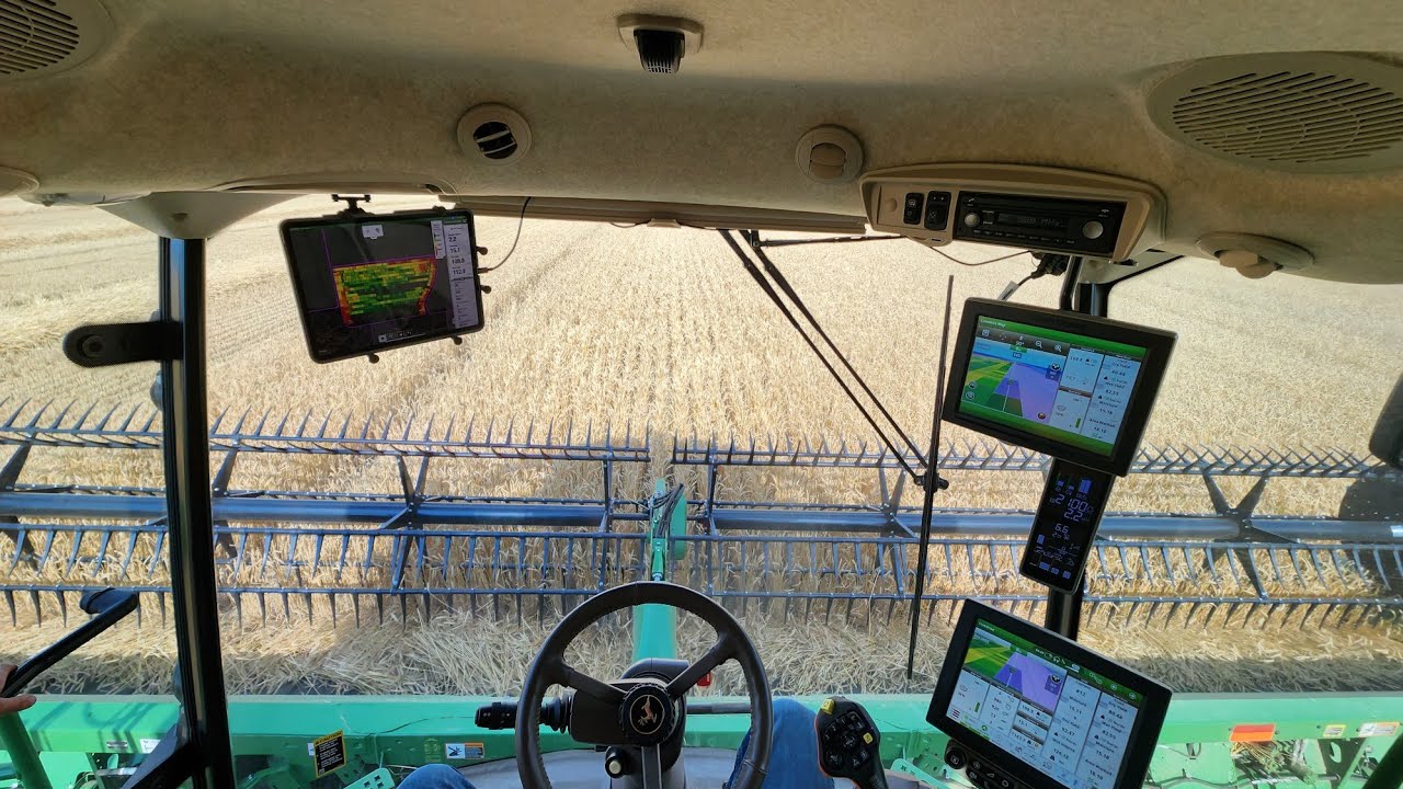 Wheat Harvest!!!