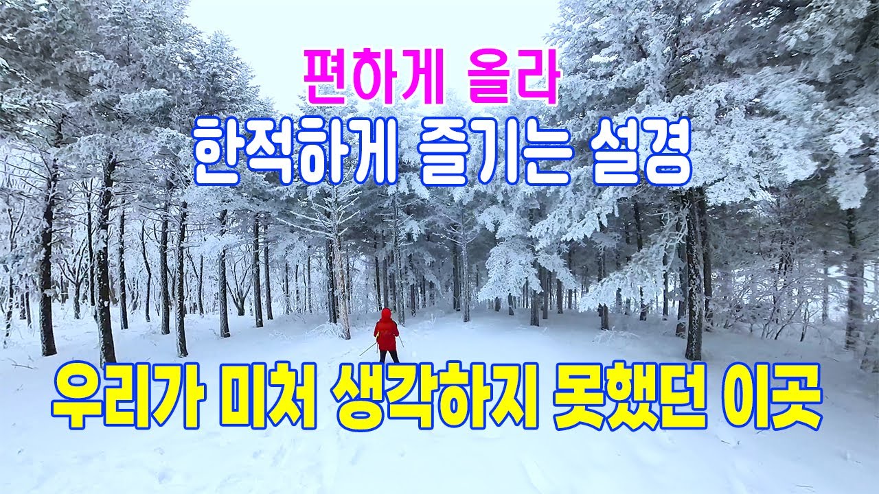 우리가 미처 생각하지 못했던 그곳 능경봉과  고루포기산 설경/ 편하게 올라 한적하게 즐기는 설경 #능경봉설경 #고루포기산 설경