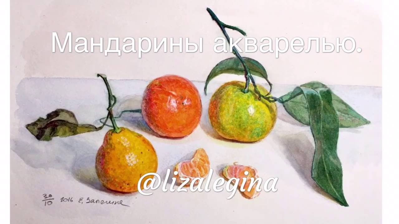 Как написать мандарины акварелью с натуры