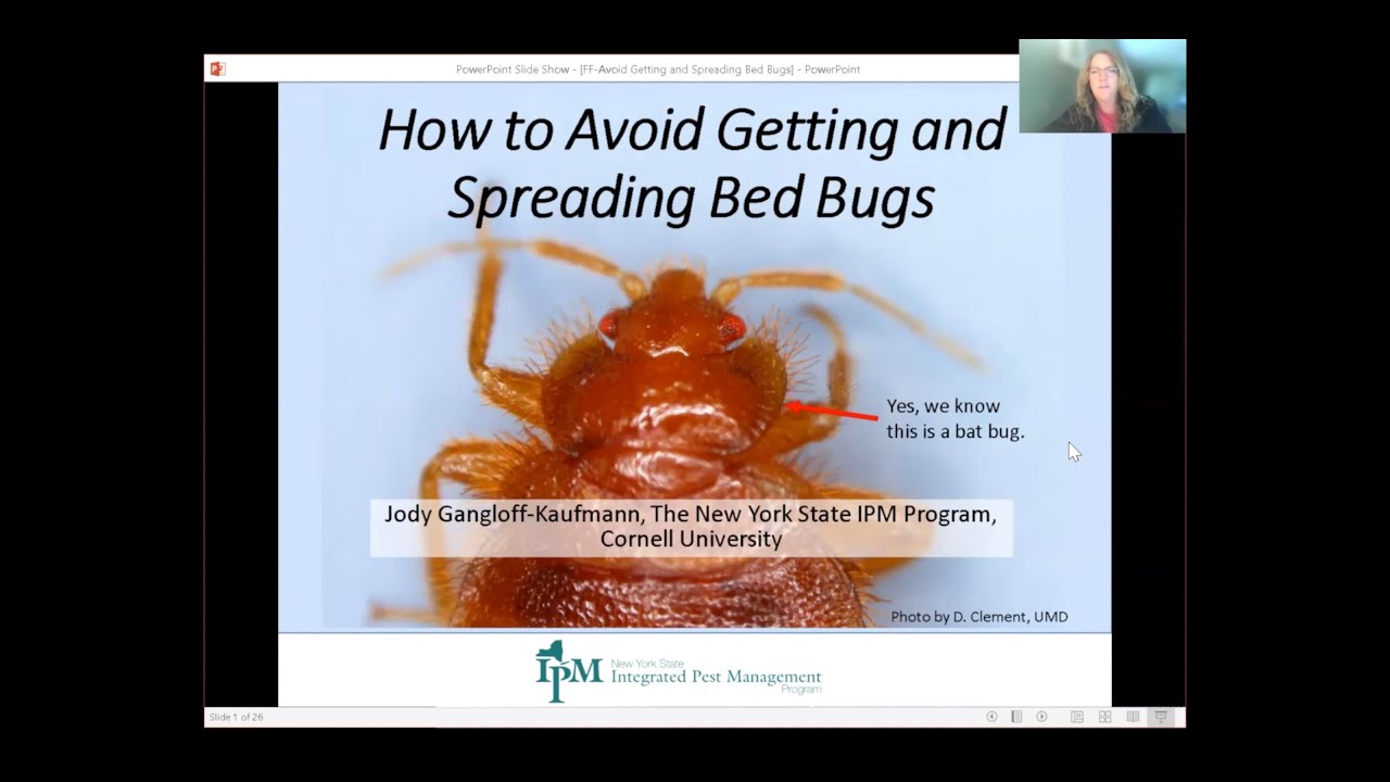 Avoid getting and spreading bed bugs | Identifying sources of clothes moths 12/3/2021