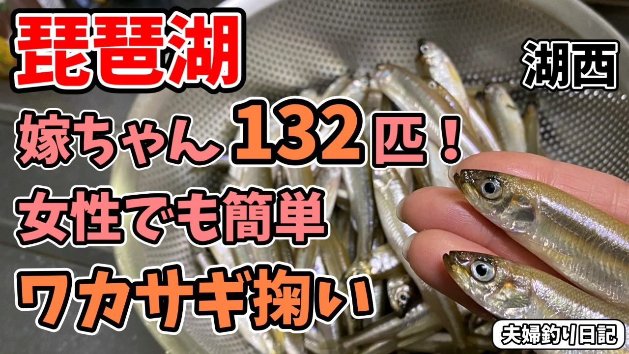 嫁ちゃん大活躍！女性でも楽しめるワカサギ掬い｜夫婦で205匹、琵琶湖で朝帰り！