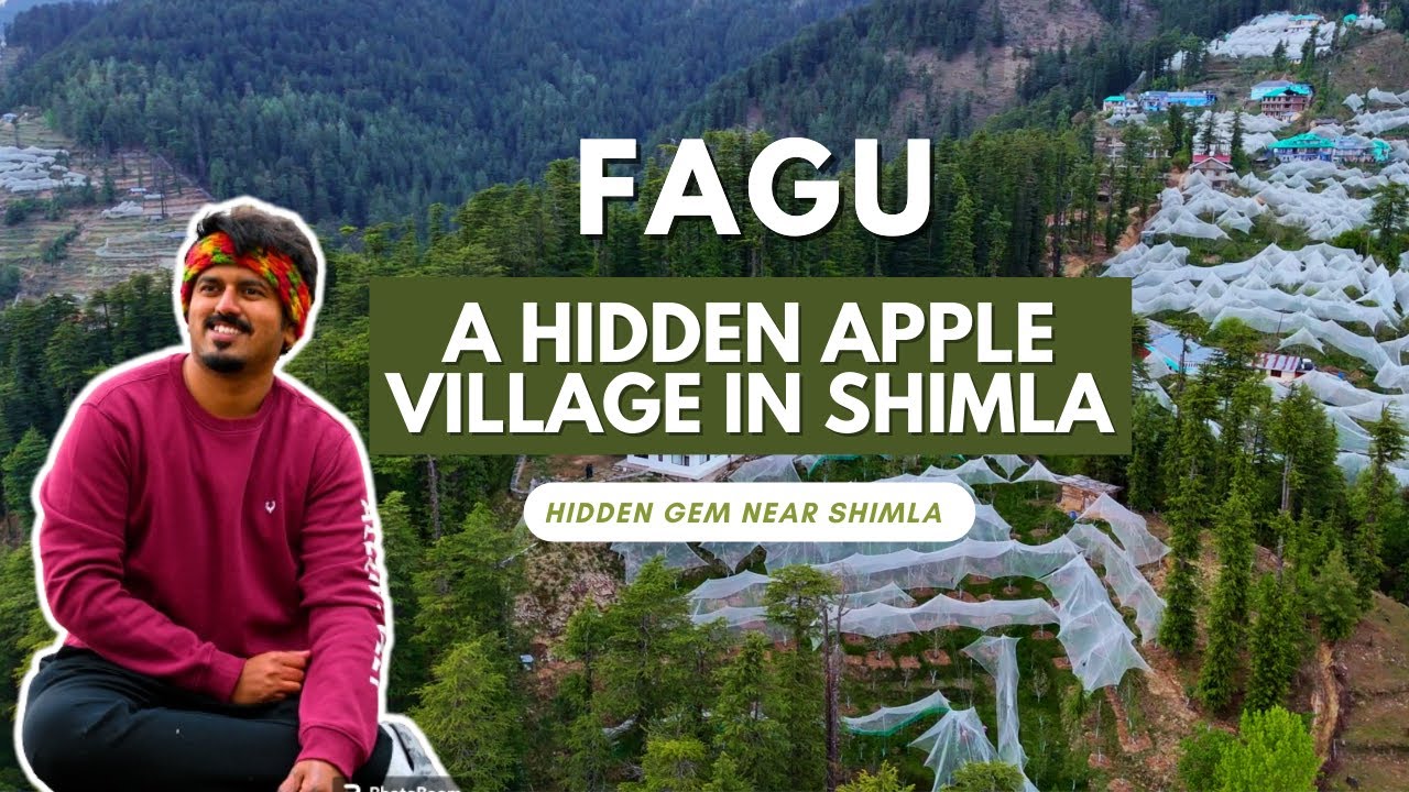 Secrets of Fagu: The Hidden Gem of Shimla | Hidden Gems in Himachal Pradesh | Shimla Tour | #travel