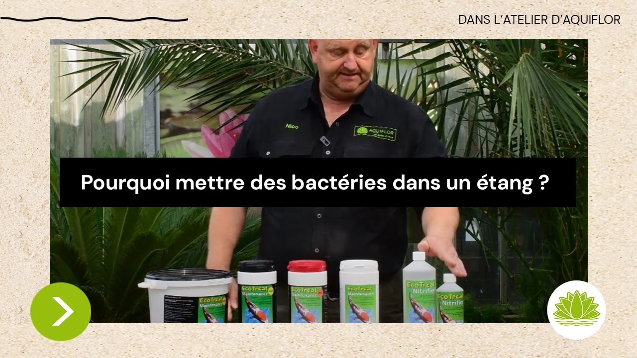 N°14 - Pourquoi utiliser des bactéries (ex : ECOTREAT©) dans un bassin de jardin/étang?