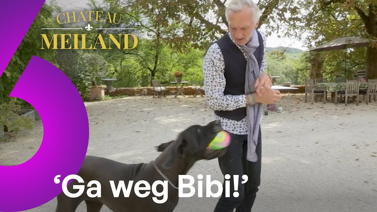 Martien DOODSBANG voor GROTE HOND... 🤣🤣🤣 | CLASSICS: Chateau Meiland #AFL17