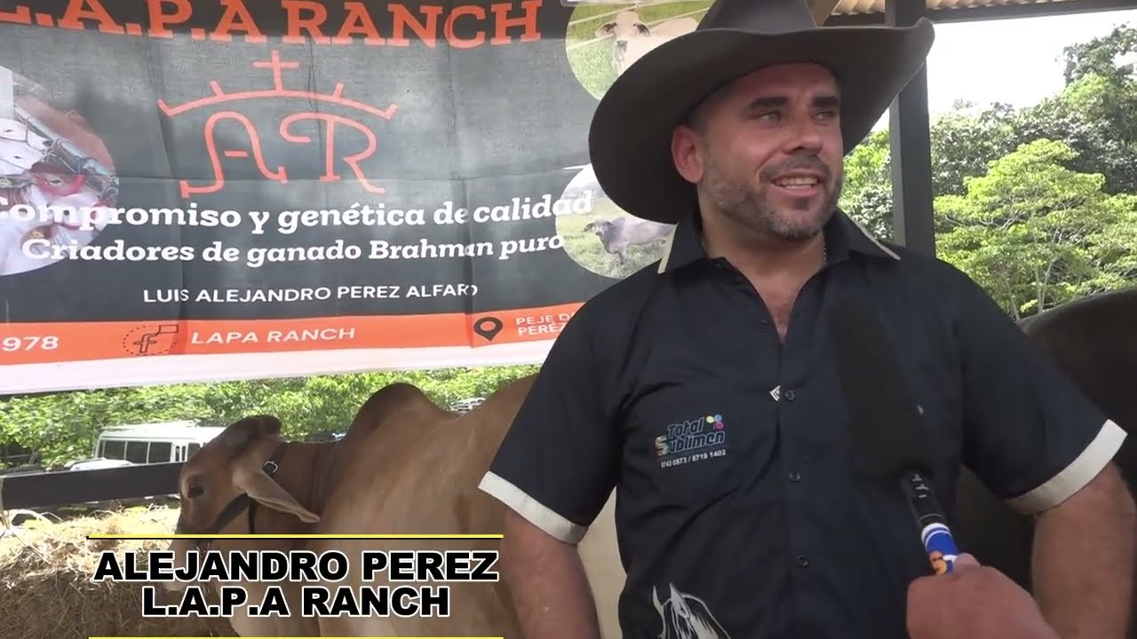 PARTE 1 CABALGATA SAN RAFAEL DE PLATANARES, PEREZ ZELEDON 2025