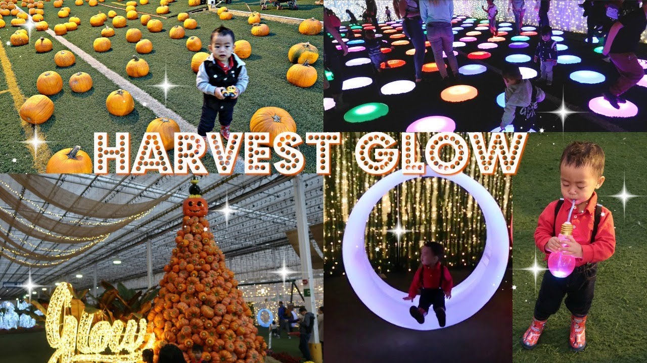 DAY IN THE LIFE AT HARVEST GLOW LANGLEY | DITL PUMPKIN PATCH | Angie Lowis