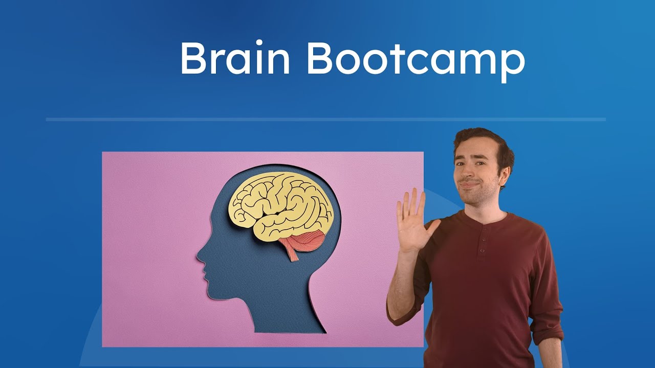 Brain Bootcamp - Executive Functioning Skills for Teens