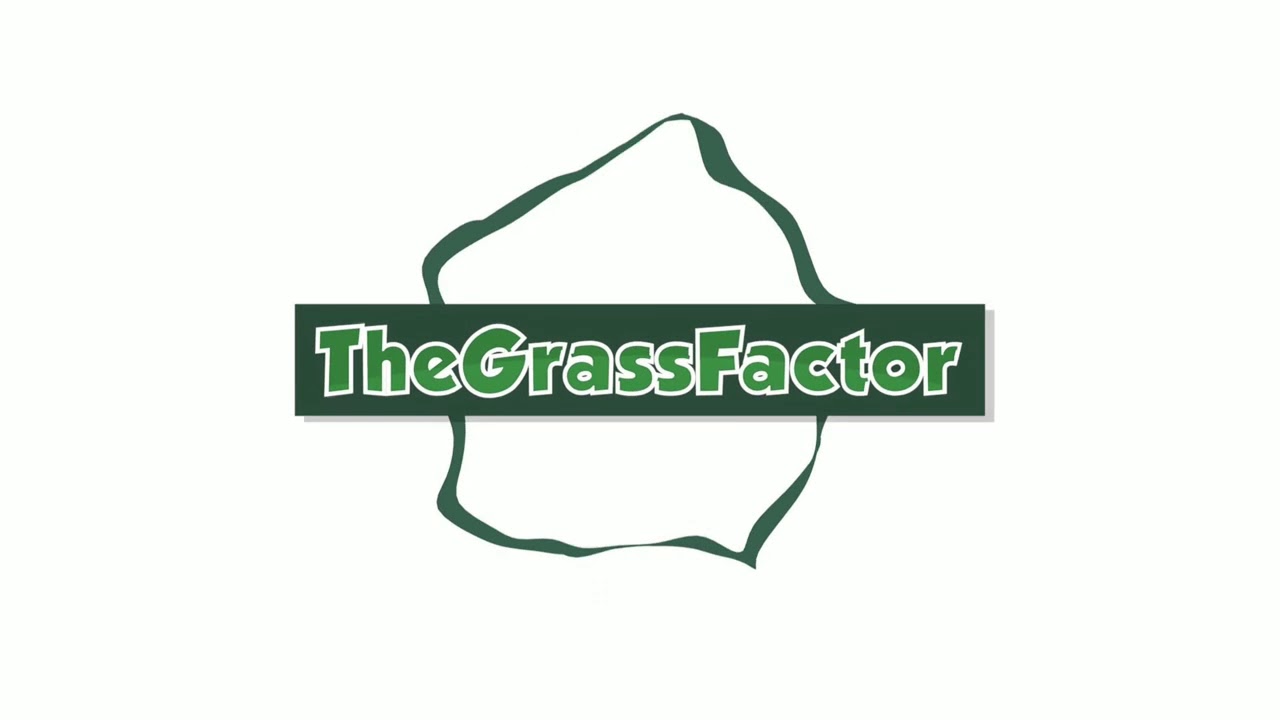 DISEASE or DROUGHT STRESS in TALL FESCUE? - The Grass Factor
