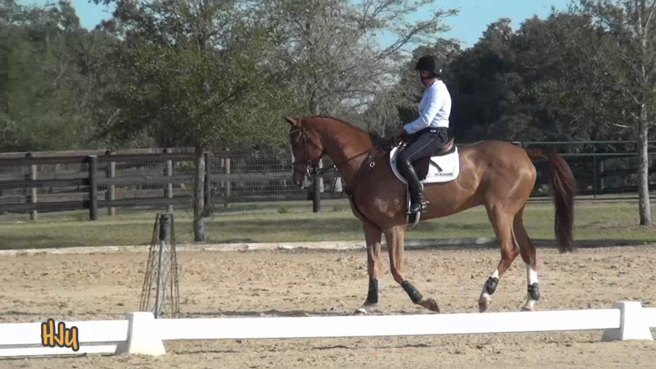 HorseJunkiesUnited.com - Karen O'Connor and Mr Medicott - US Eventing Training Session