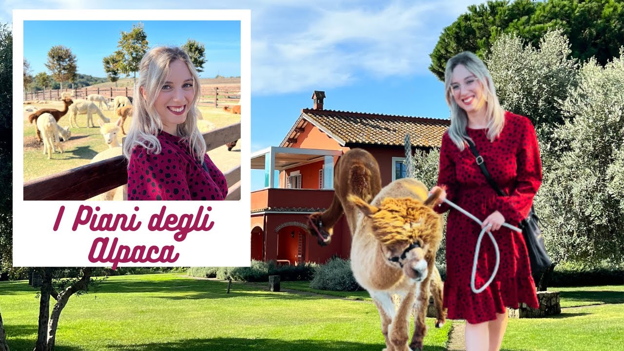 ANDIAMO A VEDERE GLI ALPACA, vlog Tarquinia I Piani degli Alpaca♥️🦙