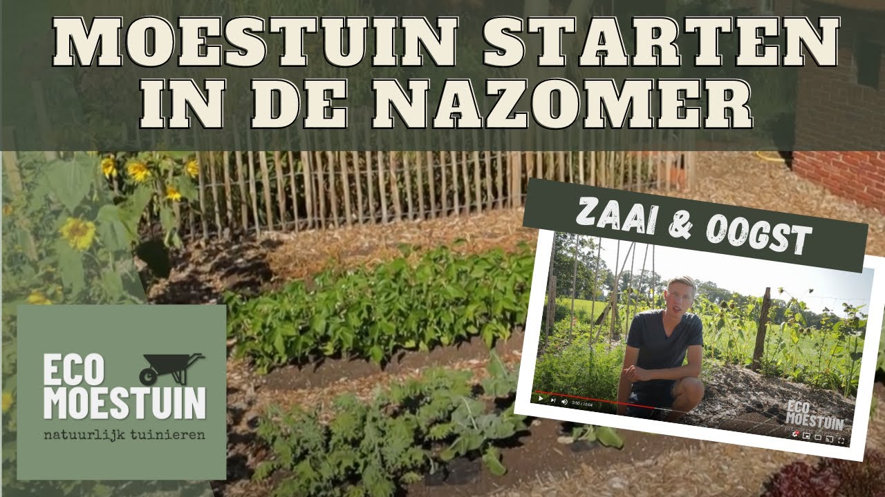 Moestuin beginnen in nazomer
